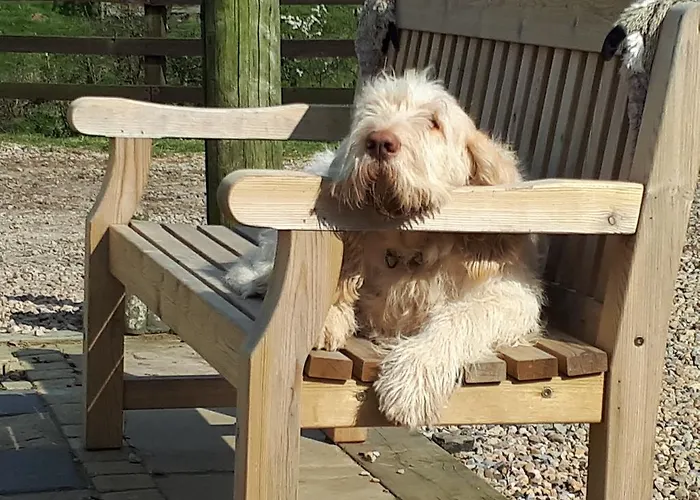 Meadowbeck Holiday *