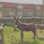 Vakantiehuis Meadowbeck *